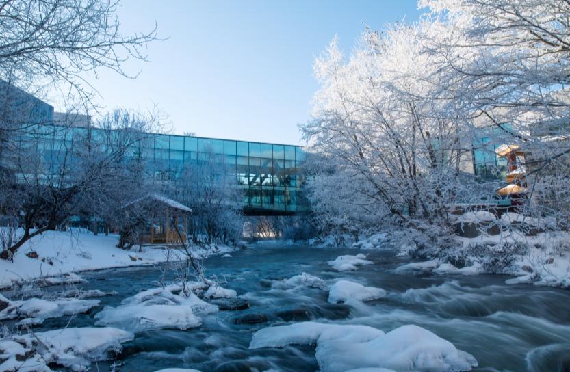 Changbai Mountain 5-Day Winter Tale - Photo 6
