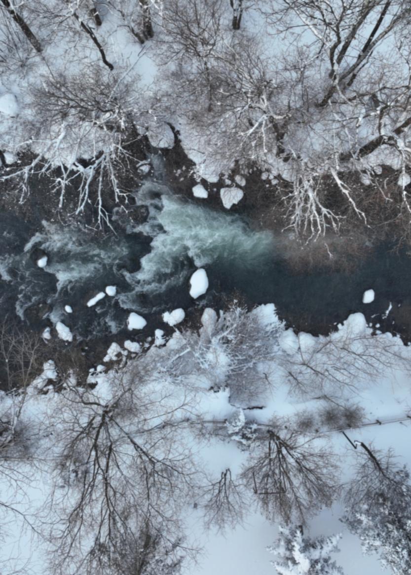 Snow Falls on Changbai — An 8-Day Winter Duet - Photo 1