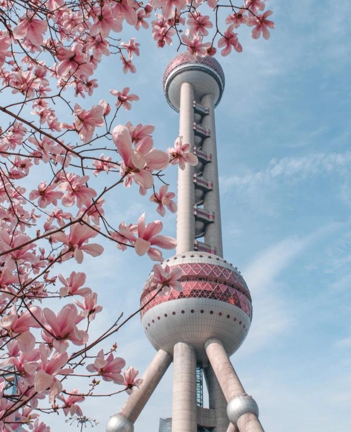 Shanghai Clash of Eras - Photo 2