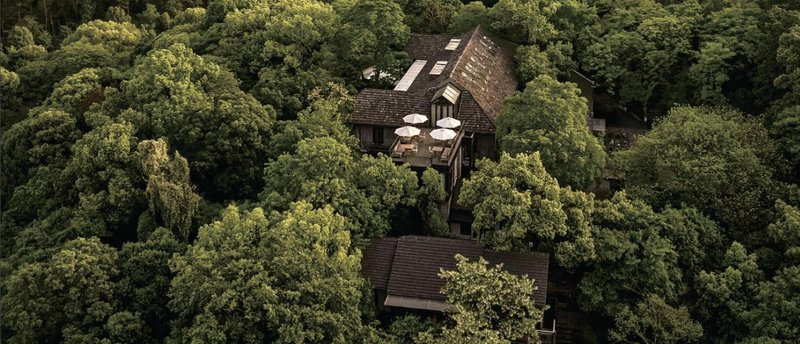 Hangzhou 3-Day Journey - Photo 4