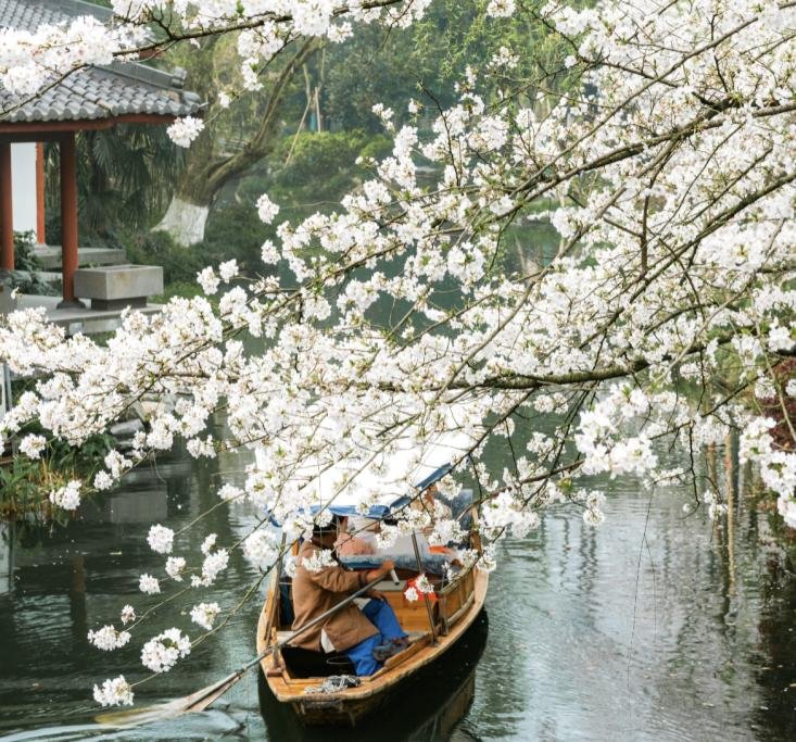 Hangzhou 3-Day Journey - Photo 5