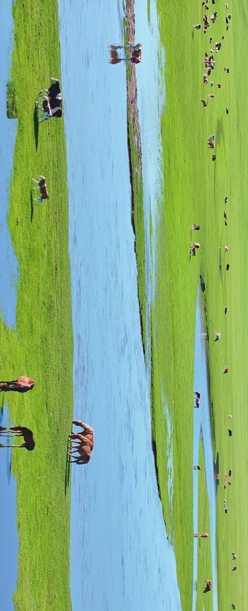 Hulunbuir 6-Day Luxury Grassland Escape - Photo 1