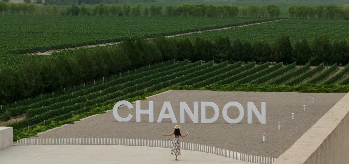 Ningxia 6-Day Wild Luxury Escape - Photo 4